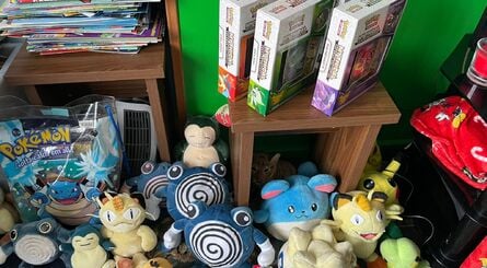 Pokemon Collection