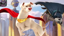 DC League of Super-Pets: The Adventures of Krypto and Ace