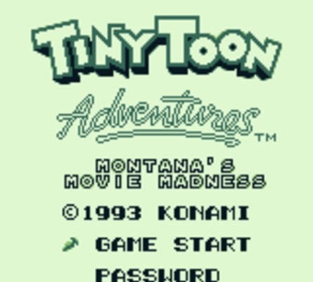 Tiny Toon Adventures 2