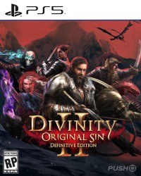 Divinity: Original Sin 2 Cover