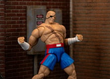 Sagat