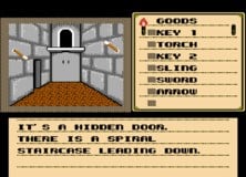 Shadowgate was released on the NES in 1989 in North America and Japan (Europe would have to wait until 1991) and was developed primarily by the Japanese developer/publisher Kemco, with some additional QA and testing from ICOM Simulations