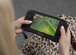 "The Best Official Versions" - New Banjo-Kazooie Deep Dive Shows Just How Sharp It Looks On The New Evercade Nexus
