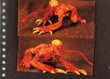 The William figure on the left also came packaged with Sherry Birkin. It appeared on an annual list of 'Warped Toys' in 2001, with critics claiming it was "perverse" and borderline promoting incest due to the copy on the back of the box which stated that William was pursuing his daughter in order to infect her with the G-Virus embryo