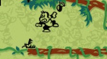 Game & Watch Donkey Kong Jr.