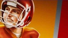 Big League Sports