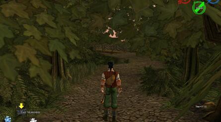 Wishworld in action; this precursor to Fable already shows some of the hallmarks that would make it into the final game