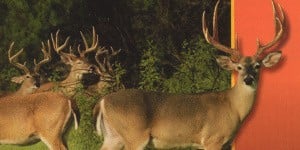 Next Article: Random: John Romero Explains How One Texas Walmart Exec Kickstarted The Rise Of The Hunting Sim