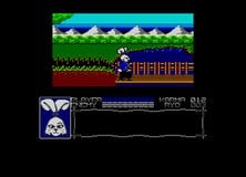 Samurai Warrior: The Battles of Usagi Yojimbo for the Amstrad CPC features more vibrant colours and a more detailed icon of the game's lead character Miyamoto Usagi but changes the layout of the game's world slightly from the original and also cuts the cave monster featured in the mountain pass section
