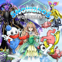 Snow Bros. Wonderland Cover