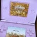 The iPhone Duo Has Already Been Adapted for Foldable Nintendo DS Emulation