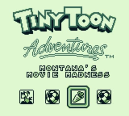 Tiny Toon Adventures 2