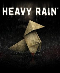 Heavy Rain Cover
