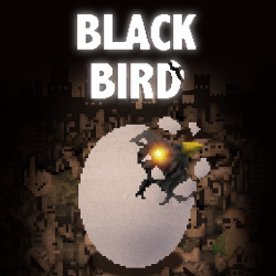 Black Bird Cover