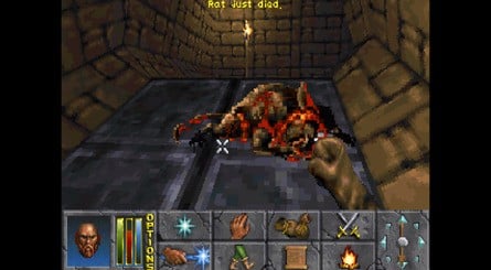 As explained in the game's opening text, players arrive at The Privateer's Hold via a cave entrance, after their ship is capsized on the way to Daggerfall. A mudslide blocks the entrance to the cave, leaving you to search the hold for a path back to the surface
