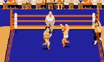 A Groundbreaking Wrestling Game From The Developer Of 'Double Dragon' Is This Week's Arcade Archives Release