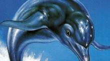 3D Ecco The Dolphin