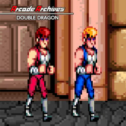 Arcade Archives Double Dragon Cover