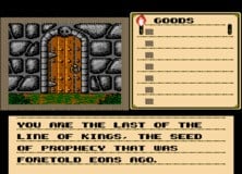 Shadowgate was released on the NES in 1989 in North America and Japan (Europe would have to wait until 1991) and was developed primarily by the Japanese developer/publisher Kemco, with some additional QA and testing from ICOM Simulations