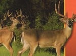 John Romero Explains How One Texas Walmart Exec Kickstarted The Rise Of The Hunting Sim