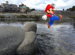 Do Kyoto's Turtle Stepping Stones Have A Connection To Mario?