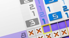 Picross e5