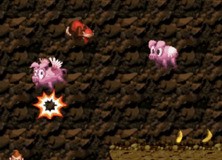 Donkey Kong Land Remake