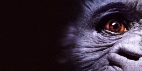 Previous Article: 30 Years On, A Bunch Of Cheat Codes Have Been Discovered For One Of Sega Saturn's Most "Notorious" Games