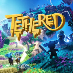 Tethered Cover