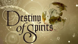 Destiny of Spirits Cover