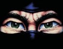 Evercade December Releases Are Reportedly The Last Ninja and James Pond Collections