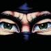 Evercade December Releases Are Reportedly The Last Ninja and James Pond Collections