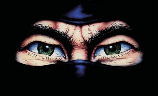 Evercade December Releases Leak: The Last Ninja & IK Collection and The James Pond Collection Reported - Nintendo News Article