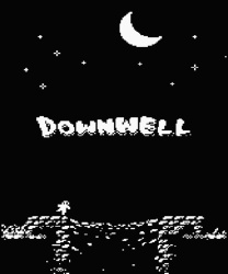 Downwell Cover