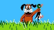 Duck Hunt