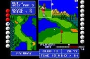 Fighting Golf