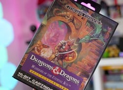Dungeons & Dragons: Warriors of the Eternal Sun (Mega Drive)