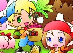 Harvest Moon: Sunshine Islands (DS)