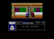 Samurai Warrior: The Battles of Usagi Yojimbo for the Amstrad CPC features more vibrant colours and a more detailed icon of the game's lead character Miyamoto Usagi but changes the layout of the game's world slightly from the original and also cuts the cave monster featured in the mountain pass section