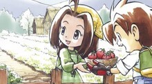 Harvest Moon: A Wonderful Life