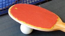 Family Table Tennis 3D