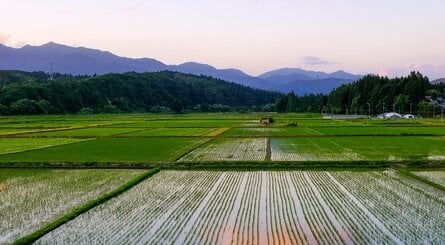 Iwate is where I lived when I was in Japan - as you can see, it's a million miles away from the hustle and bustle of Akihabara!