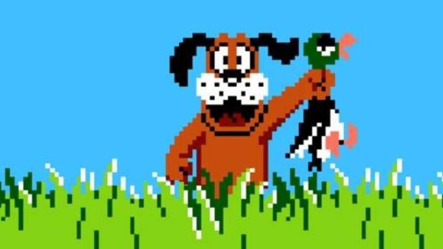 Duck Hunt