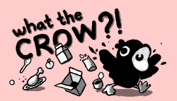 What the Crow?! Cover