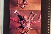 Chimera