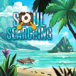 Soul Searching Cover
