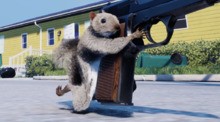 Squirrel with a Gun