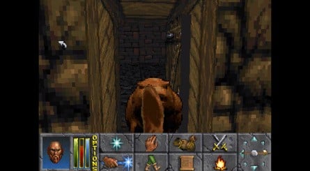 As explained in the game's opening text, players arrive at The Privateer's Hold via a cave entrance, after their ship is capsized on the way to Daggerfall. A mudslide blocks the entrance to the cave, leaving you to search the hold for a path back to the surface