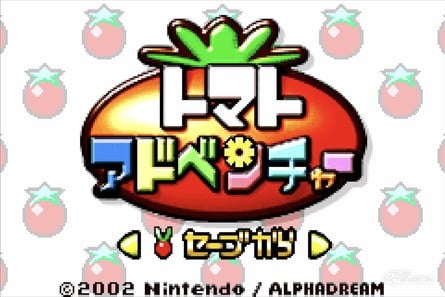I Turned The GBA Into A Switch To Better Enjoy Its Unsung Japanese Gems 5