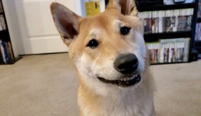 A Dog Is Going To Speedrun At AGDQ 2024